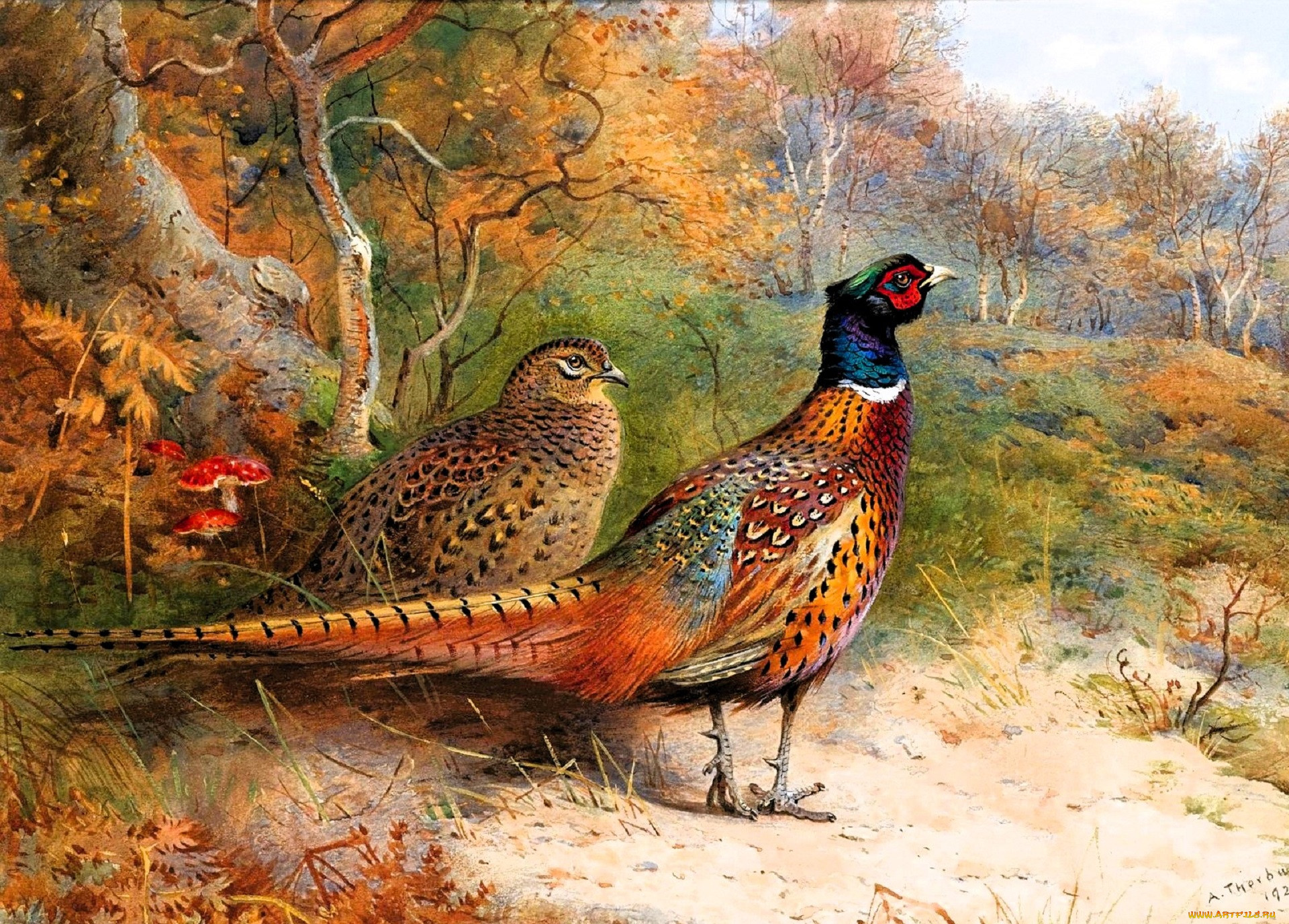 , archibald thorburn, , , , , , 